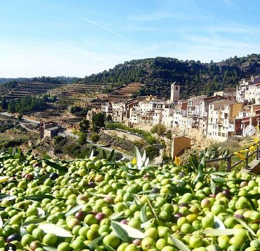 Anar a 